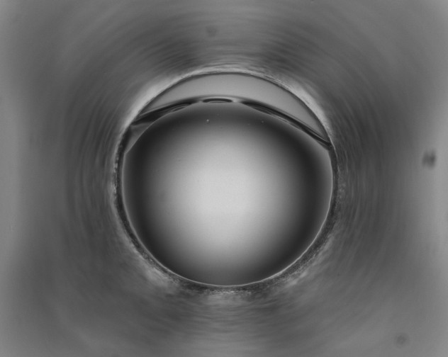 X0000091091093200708201452