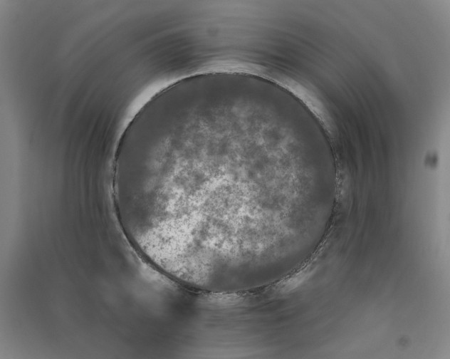 X0000091091094200708201452