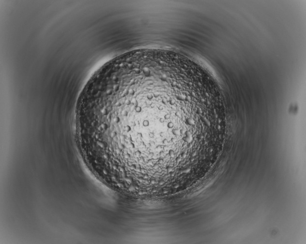 X0000091091095200708201452