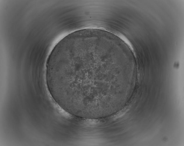 X0000091091096200708201452