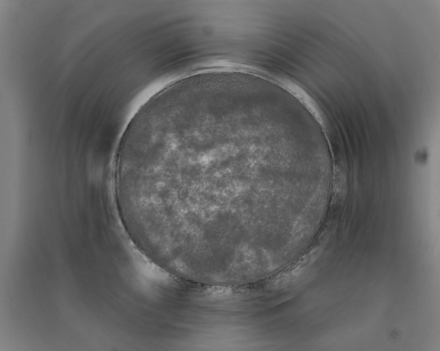 X0000091091098200708201451