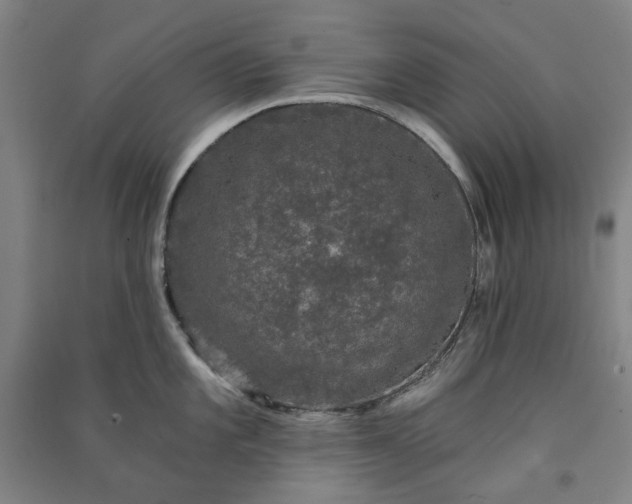X0000091091101200708201451