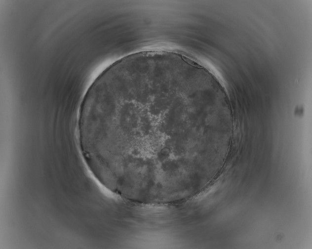 X0000091091103200708201451