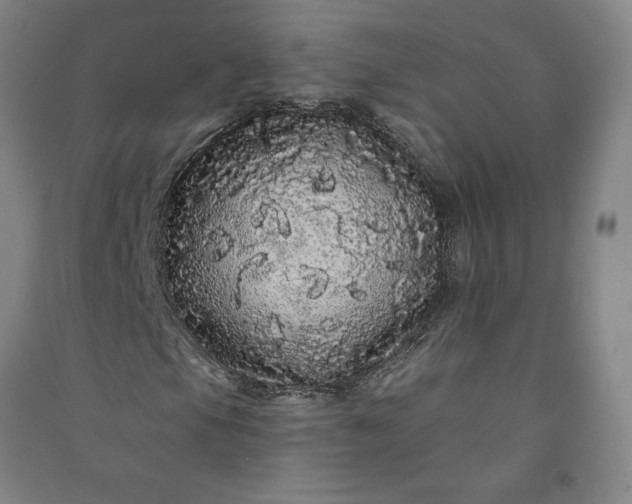 X0000091091105200708201451