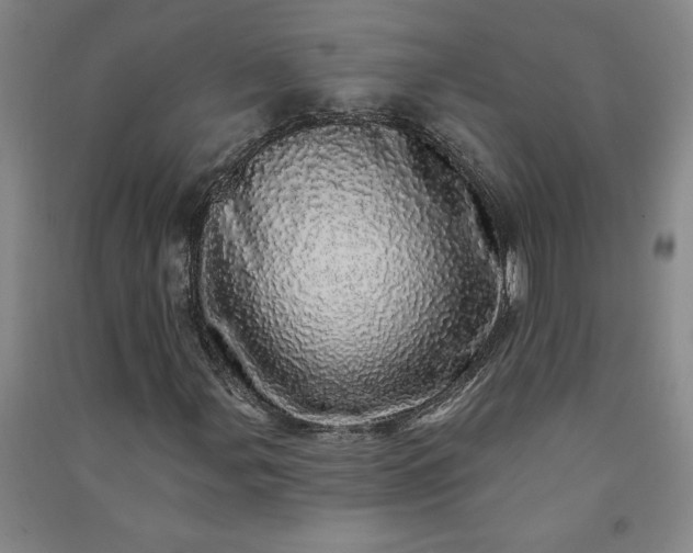 X0000091091107200708201451