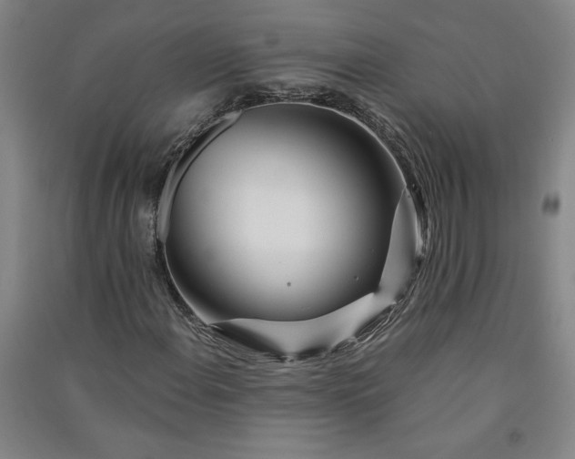 X0000091091108200708201451