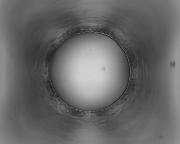 X0000091091109200708201451