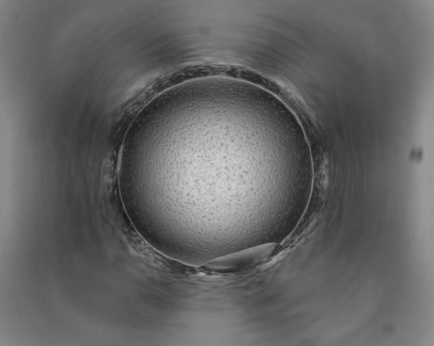 X0000091091110200708201451