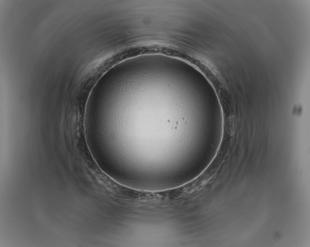 X0000091091111200708201451