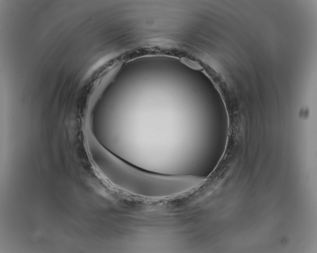 X0000091091112200708201451