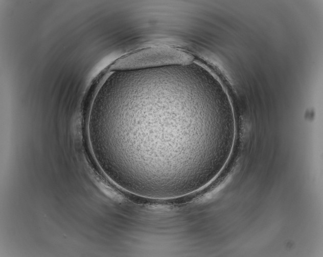 X0000091091114200708201451
