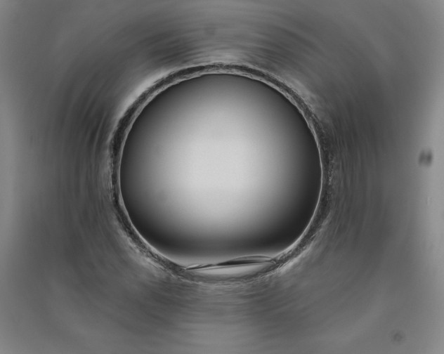 X0000091091118200708201451