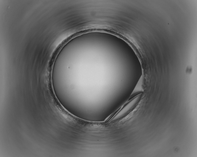 X0000091091119200708201451