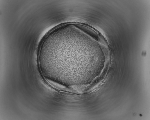 X0000091091120200708201451