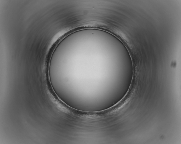 X0000091091122200708201451