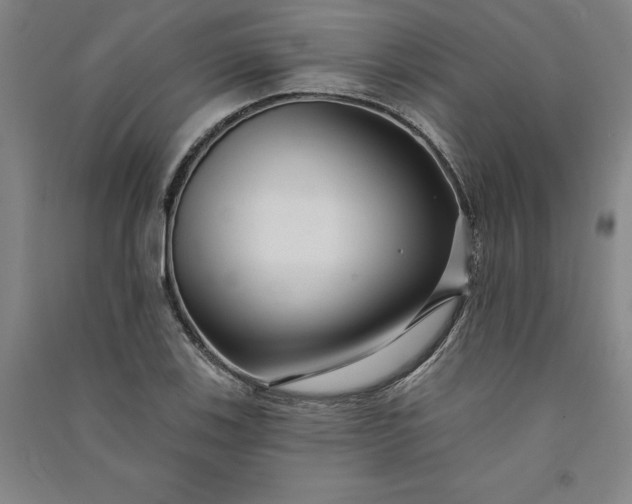 X0000091091123200708201451