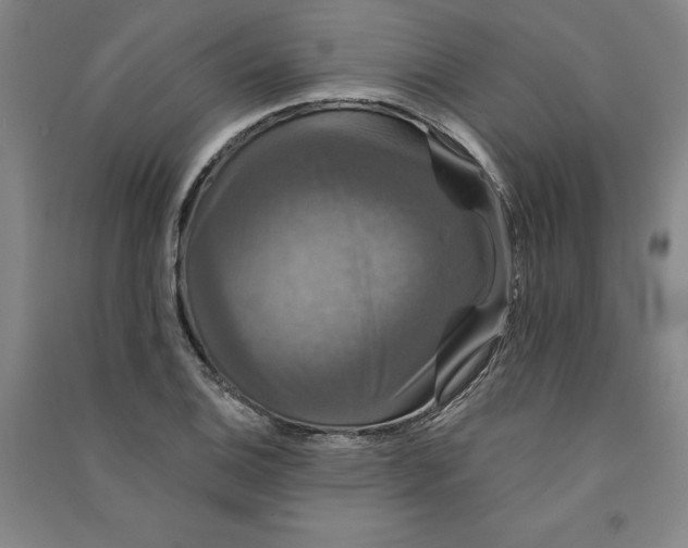 X0000091091124200708201451