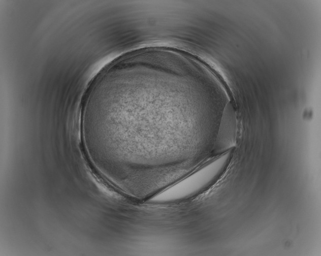 X0000091091127200708201451