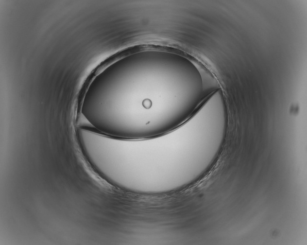 X0000091091128200708201451