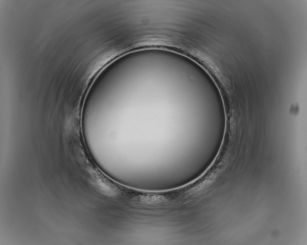 X0000091091129200708201451