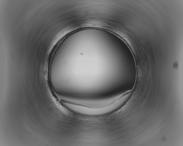 X0000091091131200708201451