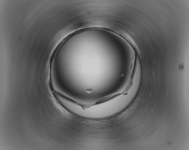 X0000091091132200708201451