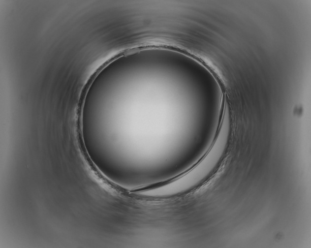 X0000091091134200708201451
