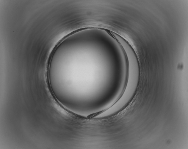X0000091091136200708201451