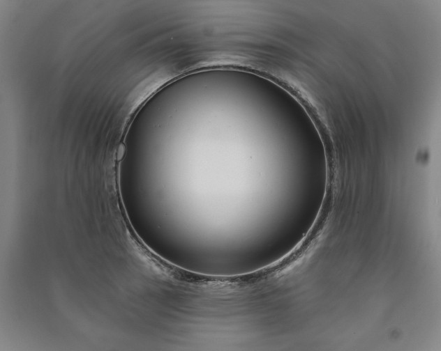 X0000091091137200708201451