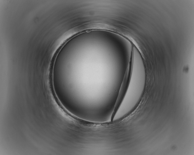 X0000091091139200708201451