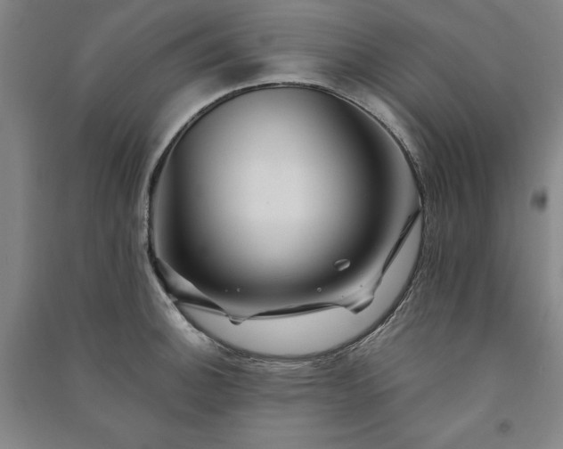 X0000091091140200708201451