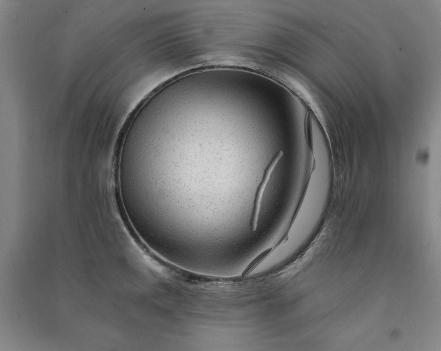 X0000091091141200708201451