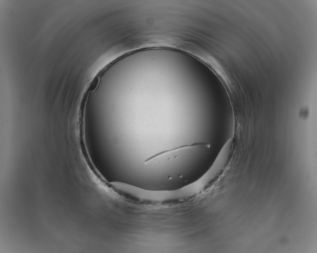 X0000091091143200708201451