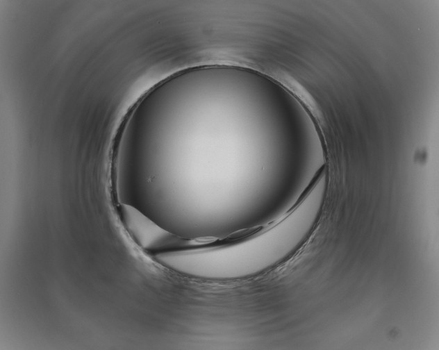 X0000091091144200708201451