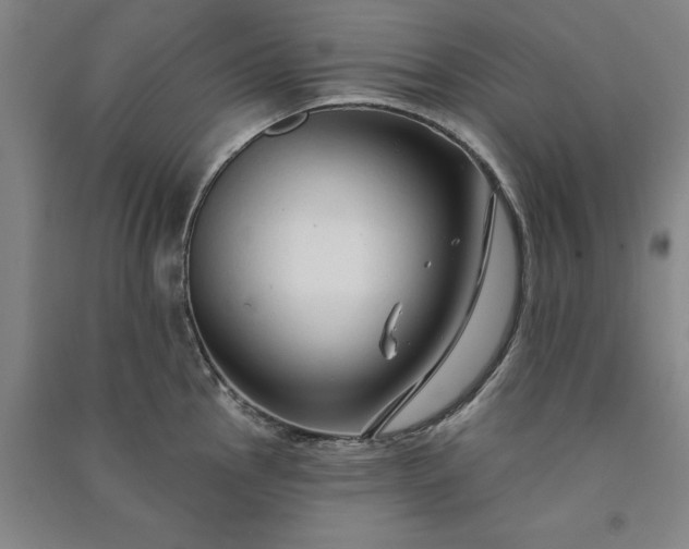 X0000091091145200708201451