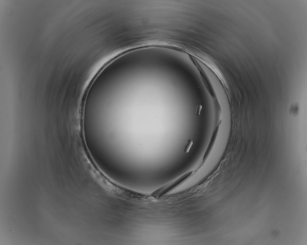 X0000091091148200708201451