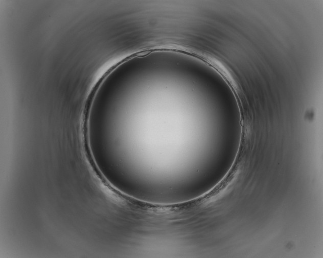 X0000091091149200708201451