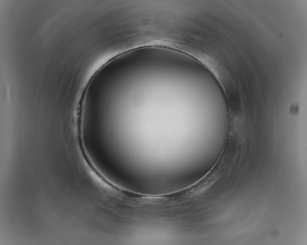 X0000091091151200708201451