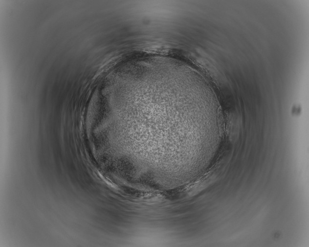 X0000091091154200708201451
