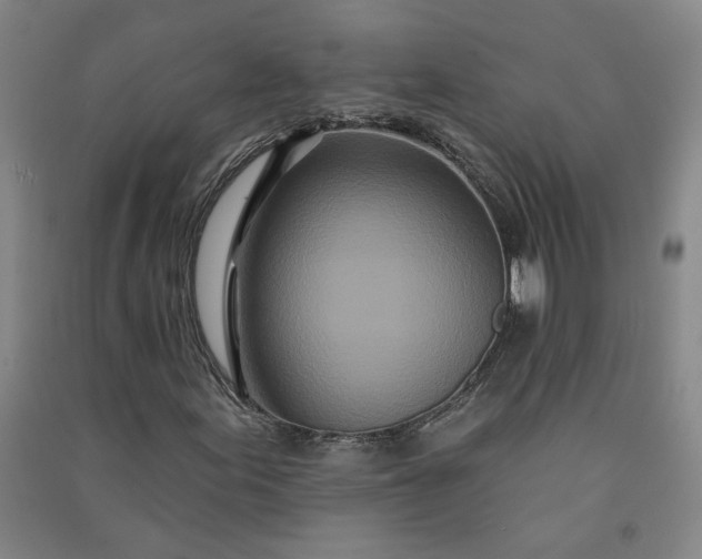 X0000091091155200708201451