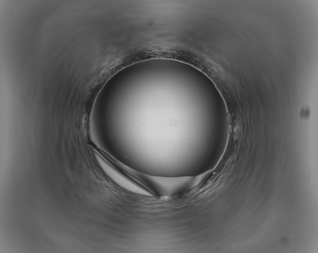 X0000091091156200708201451