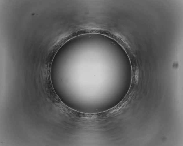 X0000091091157200708201451