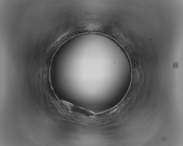 X0000091091158200708201451