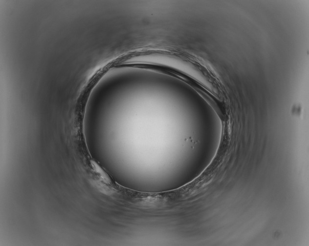 X0000091091160200708201451