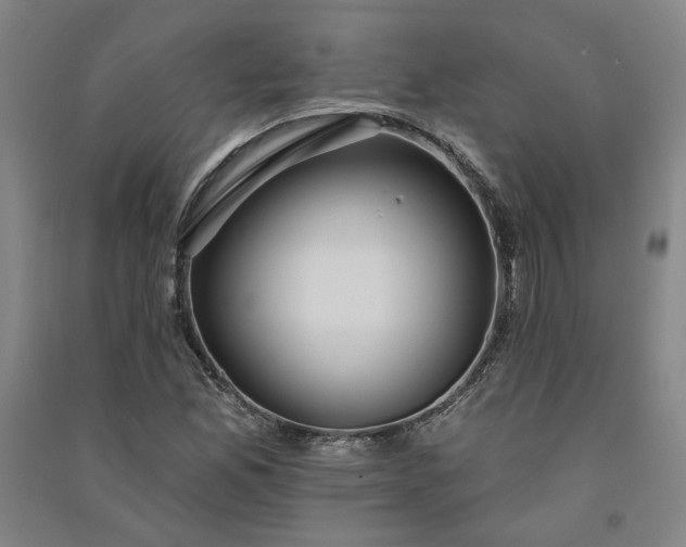 X0000091091165200708201451