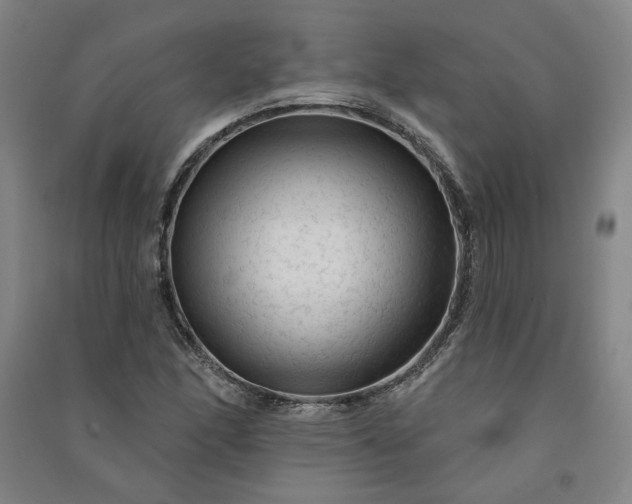 X0000091091166200708201451