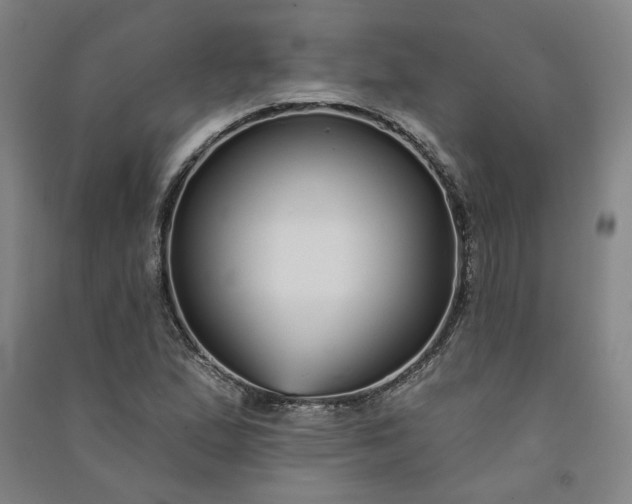 X0000091091167200708201451