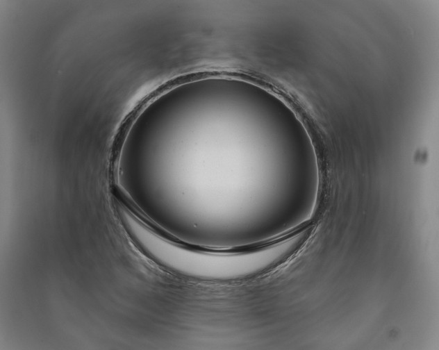 X0000091091168200708201451