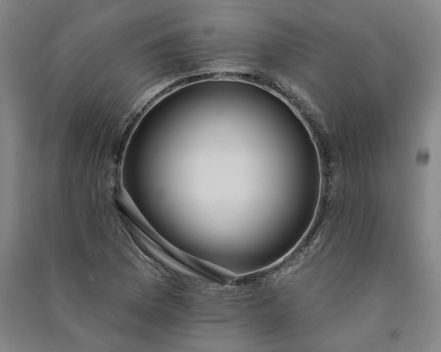 X0000091091169200708201450