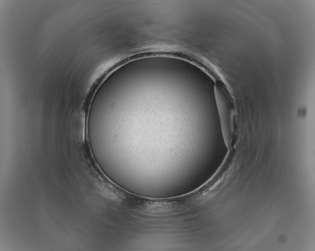 X0000091091171200708201450